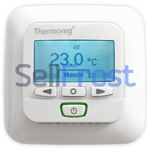 Thermo Thermoreg TI 950